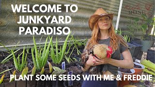 DIY Recycled Nursery Tour \u0026 Seed Planting | Sustainable Gardening Update