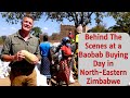 Behind The Scenes at a Baobab Buying Day in North-Eastern Zimbabwe