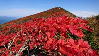 日本一の紅葉　栗駒山！