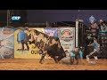 Rodeio de São Pedro do Turvo 2017 - MOMENTO GRINGA'S / QUINTA FEIRA