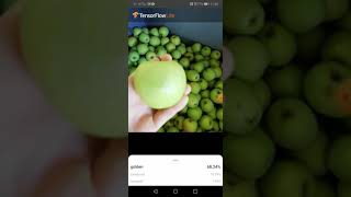 Apple (fruit) classification using camera
