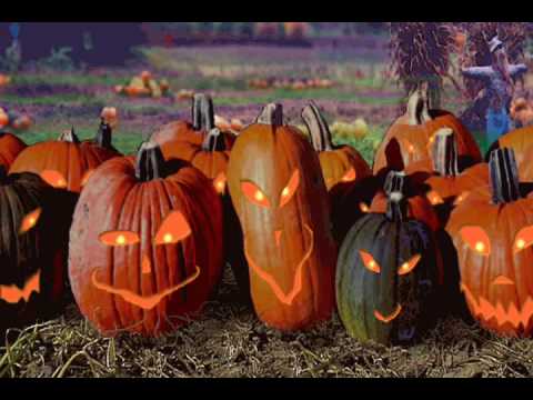 Crumpkin S Pumpkins Pumpkin Song Youtube