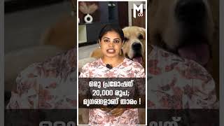 ഒരു പ്രമോഷന് 20,000 രൂപ; മൃഗങ്ങളാണ് താരം ! #trending #viralshort #trending