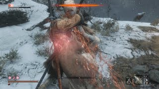 Sekiro Shadows Die Twice 隻狼：暗影雙死 崩落峽谷 蛇眼白富士