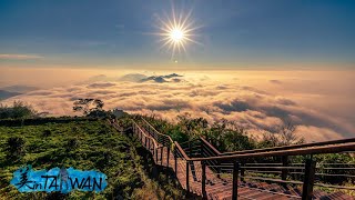 台灣四季縮時 4K Timelapse 雪景/雲海/雲瀑/琉璃光/螢火蟲