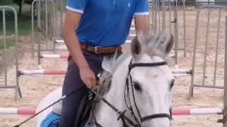 Les cavaliers de CSO après le confinement 😂 #cheval #equitation #jumping