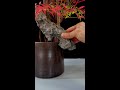 层林尽染秋意浓，叠翠流金已入冬。 flowermaking flowers flowerarrangement 艺术