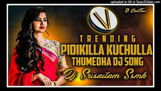 PIDIKILLA KUCHULLA THUMEDHA FULL FOLK SONG DJ SRISAILAM SSMK