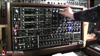 Grp A4 Wild Analog Synthesizer