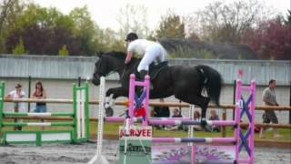 cso destrier 25.04.wmv