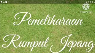 Pemeliharaan Rumput Jepang