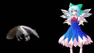 Cirno meets an Anteater