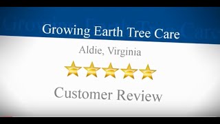 Tree Care Service With Good Reviews Reston VA | Arborist In Cascades VA