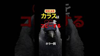 【驚愕】カラスが死者の声を真似る？！#カラス #都市伝説 #不思議な話 #ショート動画 #驚愕の事実 #鳥の能力 #動物の雑学 #鳥の生態