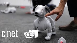 CNET's best tech of CES 2018