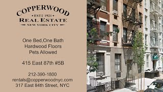 415 East 87 Apt 5B