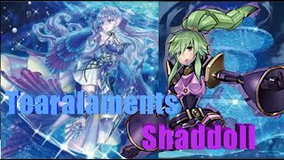 【Yu-Gi-Oh! 遊戲王!】【EDOPro /ADS】Tearalaments Shaddoll gameplay /ティアラメンツ シャドール ゲームプレイ