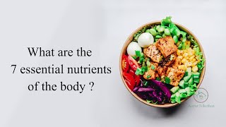 What are the 7 essential nutrients of the body ?