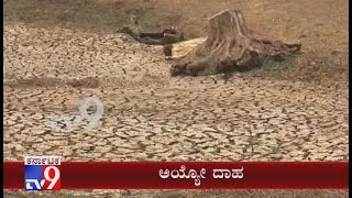 Rain Land Malnad Turns Dry, Shimoga Faces Severe Drought