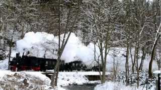 Winterdampf mit 99 5901 und dem Reichsbahnzug im Selketal