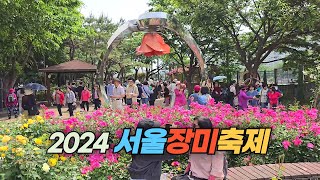 2024 서울 장미 축제 Seoul Rose Festival 2024