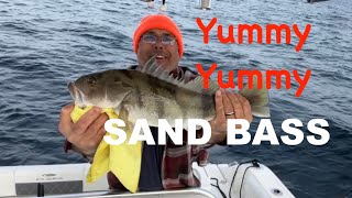 CHUNKY SAND BASS Catch and Cook #catchandcook #sandbass #fishing #boating