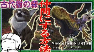 【MHW】古代樹の森でテトルーと仲良くなる方法 ふーどの部屋#01 モンハンワールド