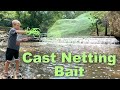 Cast Netting Bait for His PET BASS!