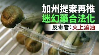 加州提案再推迷幻藥合法化 反毒者：火上澆油｜今日加州