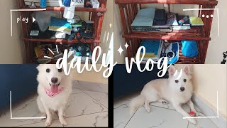 Reorganizing My Bookshelf + Dog's  Toy Unboxing \u0026Cute  Reactions | AliExpress toys haul