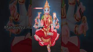 Dhumravarahi Dhumavati...#youtubeshorts #spiritual #mahavidya #shorts |Mahavidya.mantra