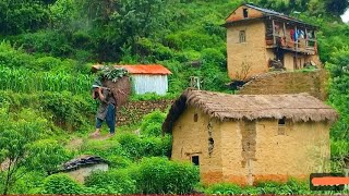 Simple Nepali Mountain Village Life In Nepal || Nepal Beautiful Life In Nepal