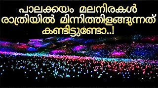 പാലക്കയം തട്ട് മലനിരകൾ രാത്രി മിന്നിത്തിളങ്ങുന്നത് കണ്ടിട്ടുണ്ടോ| field of lights | palakkayamthattu