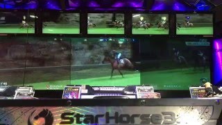 【スターホース3】ジュンカメハメタ【6戦目】