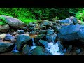 relaxing river sound stress relief therapy and mental disorders help sleep and relax