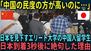 【海外の反応】「こんなにレベルが違うのか…」オックスフォード大学の中国人留学生がバカにしていた日本で絶句した理由