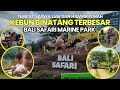 BALI SAFARI MARINE PARK | KEBUN BINATANG TERLENGKAP DIBALI TIMUR | WAHANA WISATA TERBAIK DIINDONESIA