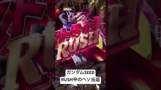 【激レア】Pフィーバー機動戦士ガンダムSEEDを打ったらRUSH中にヘソ当選してしまいました #ガンダムSEED #Pフィーバー機動戦士ガンダムSEED #パチンコ #生配信 #森本レオ子 #新台