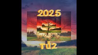 Mire számíthatnak 2025-ben a Tűz jegyűek? 😉🎁🌻 KOS, NYILAS, OROSZLÁN  #2025 #tarot #előrejelzés