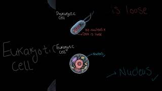 1 Minute Biology Quiz - Cell Structure With No Nuclear Envelope Around #shorts #