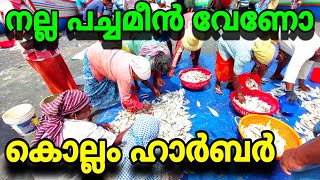 കൊല്ലം ഹാർബർ🦈 വാടി കടപ്പുറം | Kollam harbour | port kollam fishing harbour | harbour kollam vadi