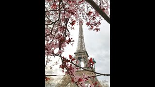 Eiffel Tower PARIS - FRANCE | Springtime Cherry blossom |  Paris in Springtime