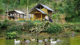 CEO Trieu Dan's green farm welcomes new, beautiful members.