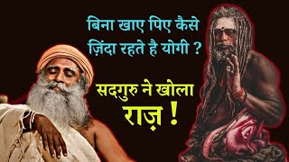 योगी बिना खाना खाए कैसे जिंदा रहते है ? सद्गुरु ने खोल राज | Sadhguru TV Hindi | Yogis Without Food