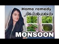 try this hair mask for reducing hair fall in monsoon season #haircare #monsoon #youtube #viral