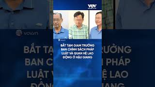 Bắt tạm giam Trưởng Ban Chính sách Pháp luật và Quan hệ lao động ở Hậu Giang | Báo Điện tử VOV