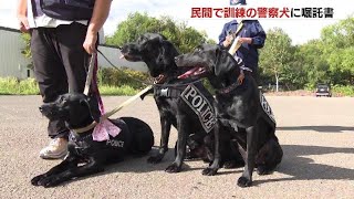 民間で訓練の警察犬に嘱託書を交付　札幌南警察署で７頭が事件捜査や行方不明者などの捜索に活動へ