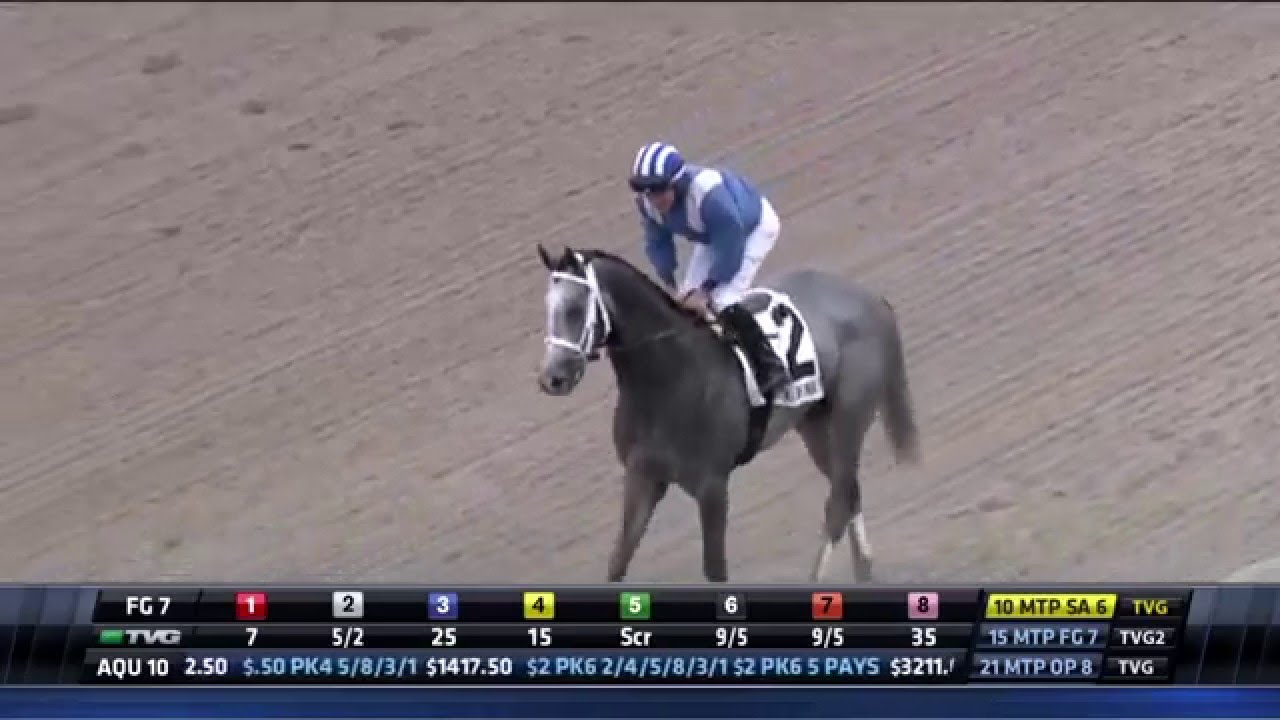 RACE REPLAY: 2016 Holy Bull Featuring Mohaymen - YouTube