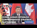 China, ASEAN Establish Comprehensive Strategic Partnership