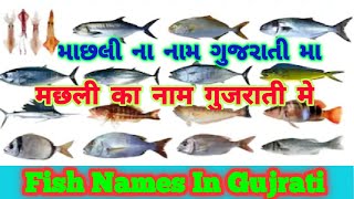 Fish Names In Gujarati: मछली का नाम गुजरती में | માછલી ના નામ ગુજરાતી મા